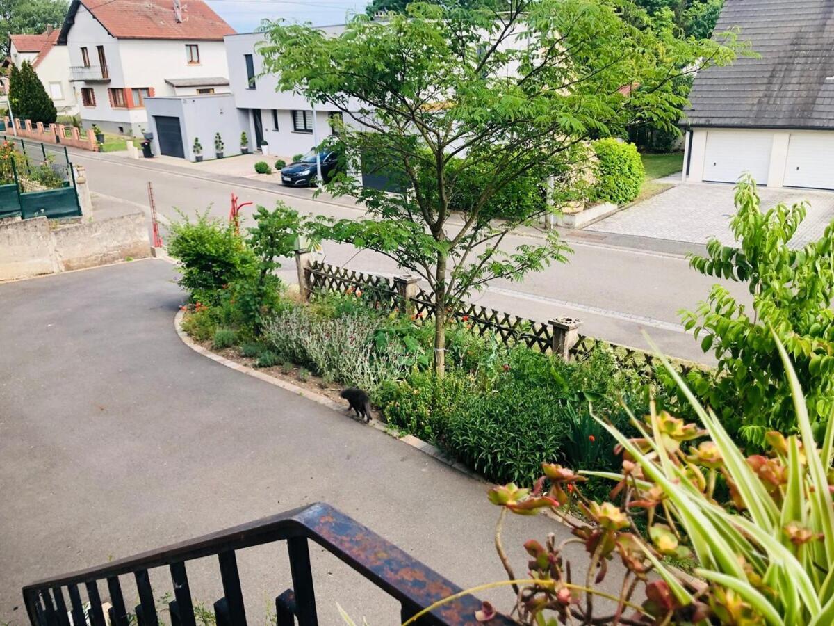 Gite de Léa Bischwiller Exterior foto