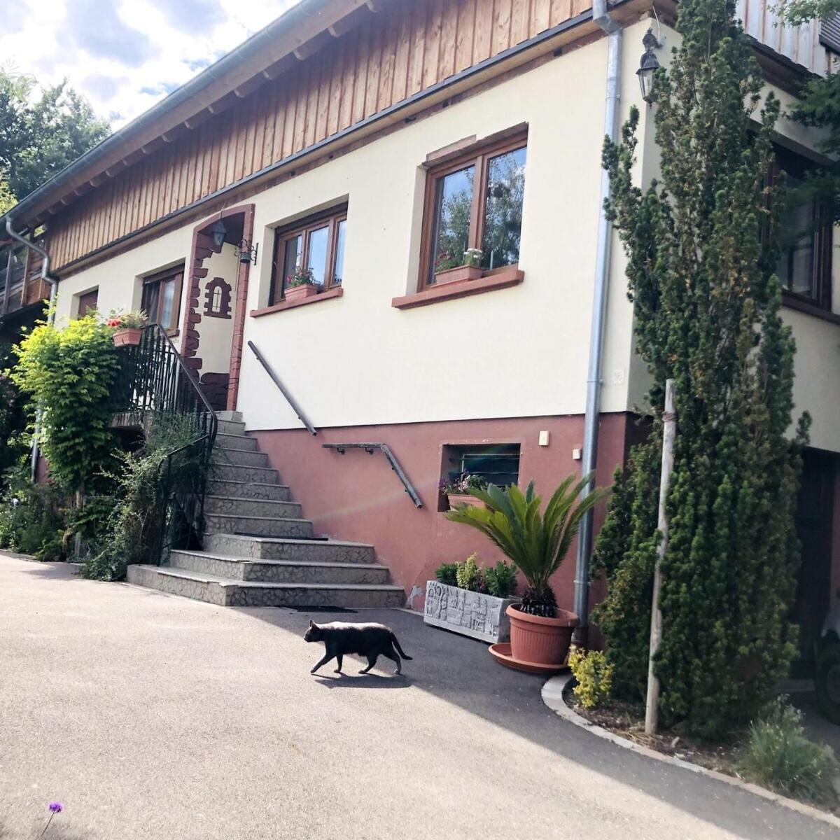 Gite de Léa Bischwiller Exterior foto